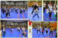 /album/fotogaleria-cvici-cela-rodina1/a25434327-2002087490074746-411409997-o-1-jpg/